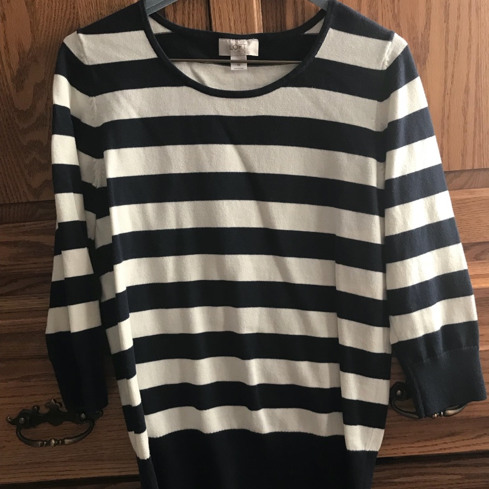 Ann Taylor Loft Navy and White Sweater